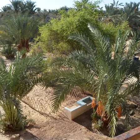 Siwa Spot Apartment Siwa Oasis Exterior photo