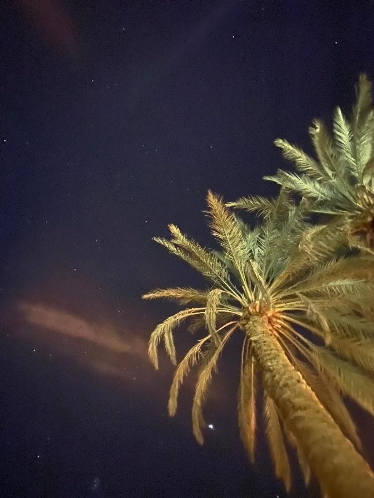 Siwa Spot Apartman Szíva-oázis